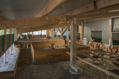 Kirchberg SG_377_mittel_8244.jpg