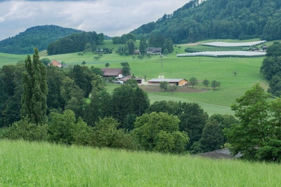 Foto-Bretzwil-mittel-12.jpg