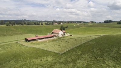 11_18_Les Bois_12631_mittel_0008.jpg