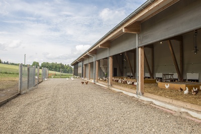 11_18_Les Bois_12631_mittel_9819.jpg