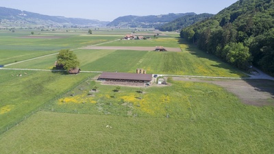 07_18_Kirchdorf BE_1316_mittel_0104.jpg