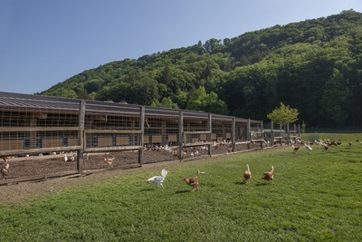 07_18_Kirchdorf BE_1316_mittel_8637.jpg