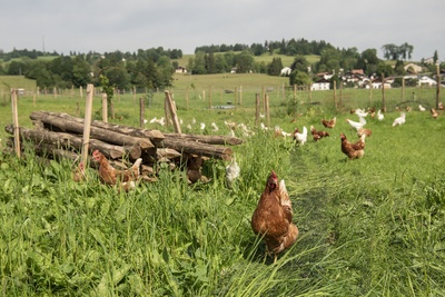 10_18_Le Bemont_12067_mittel_9702.jpg