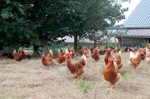 Müller Patrick (0-CH-1380)