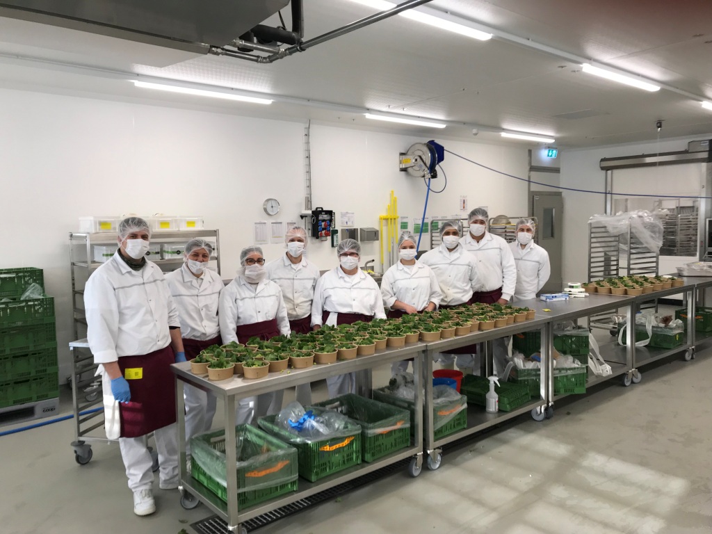 Produktion Frische (26)